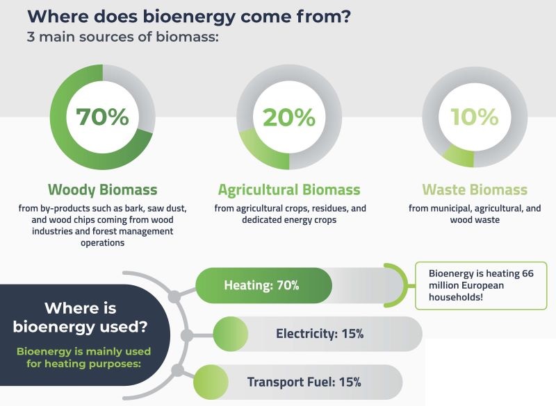 bioenergy in Finland
